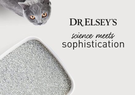 Dr. Elsey's Ultra UnScented Clumping Clay Cat Litter 40 lb bag for superior odor control and low dust performance. Premium unscented clumping cat litter for multi-cat households and easy litter box cleaning. Natural clay cat litter with hard clumping technology and excellent odor control. Low dust cat litter solution designed for cleaner homes and happier cats. Dr. Elsey's Ultra Cat Litter for strong clumps, reduced tracking, and fresh litter boxes. Pinterest Captions