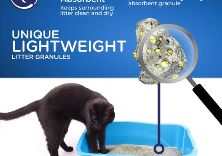 Cat's Pride Antibacterial Cat Litter lightweight clumping litter with powerful odor control and antibacterial formula for cleaner litter boxes.