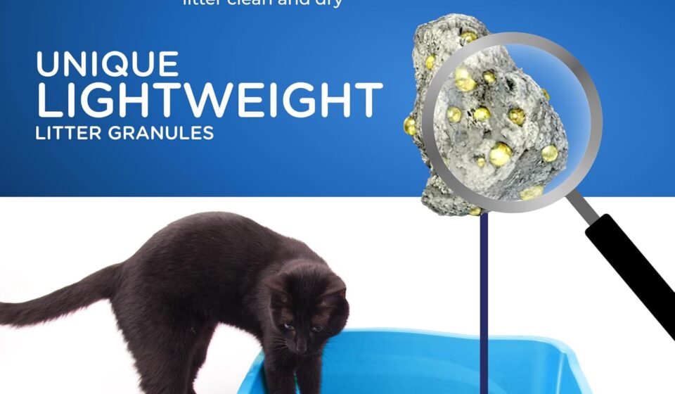 Cat's Pride Antibacterial Cat Litter lightweight clumping litter with powerful odor control and antibacterial formula for cleaner litter boxes.