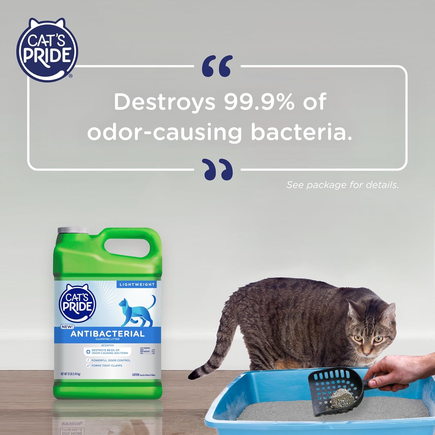 Cat's Pride Antibacterial Cat Litter lightweight clumping litter with powerful odor control and antibacterial formula for cleaner litter boxes.