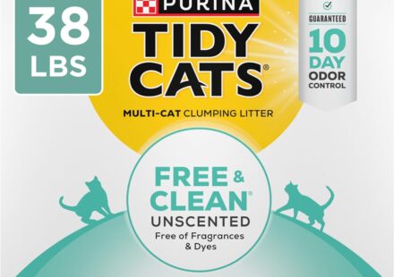 Purina Tidy Cats Free and Clean unscented clumping cat litter with odor control in a 38 lb box for easy litter box maintenance.