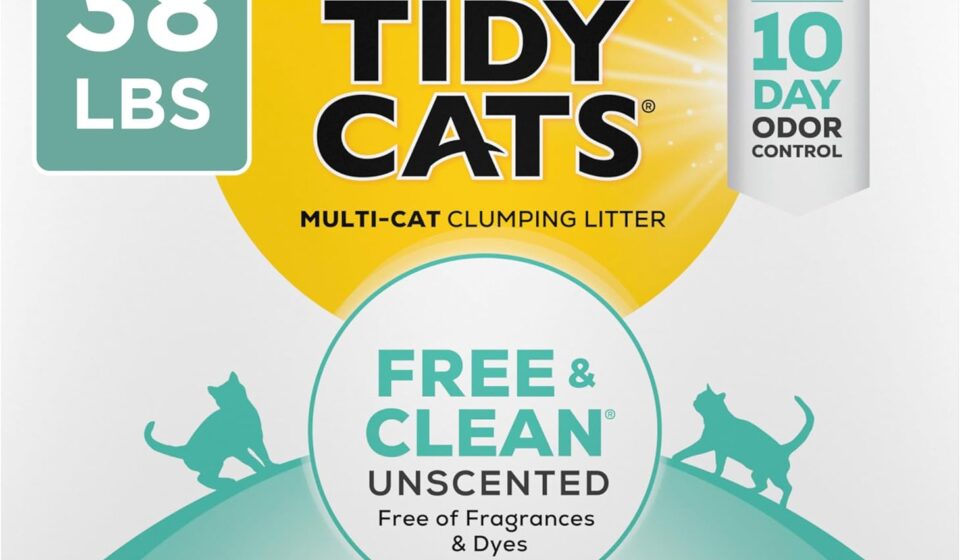 Purina Tidy Cats Free and Clean unscented clumping cat litter with odor control in a 38 lb box for easy litter box maintenance.
