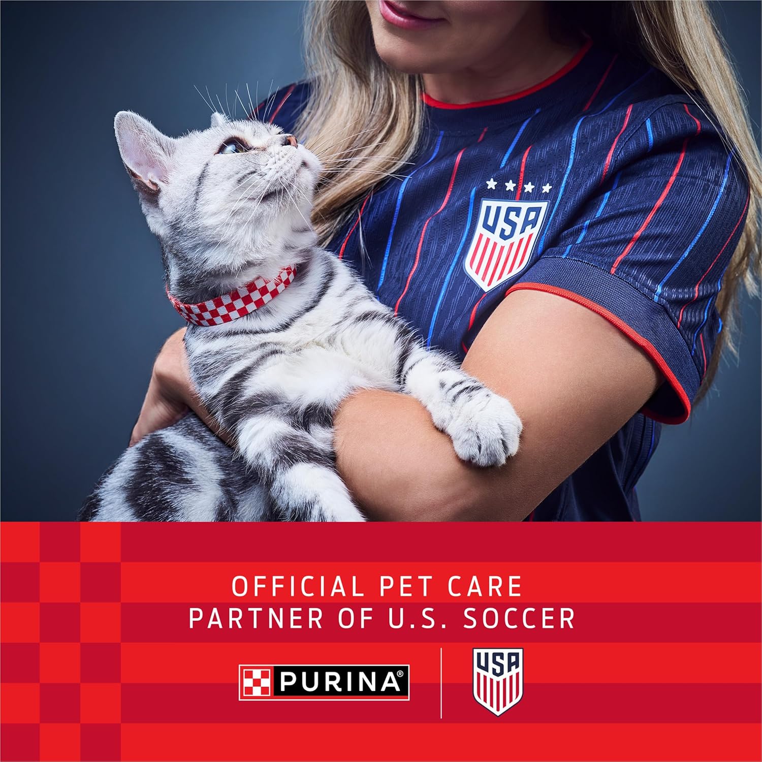 Purina Tidy Cats Free and Clean unscented clumping cat litter with odor control in a 38 lb box for easy litter box maintenance.