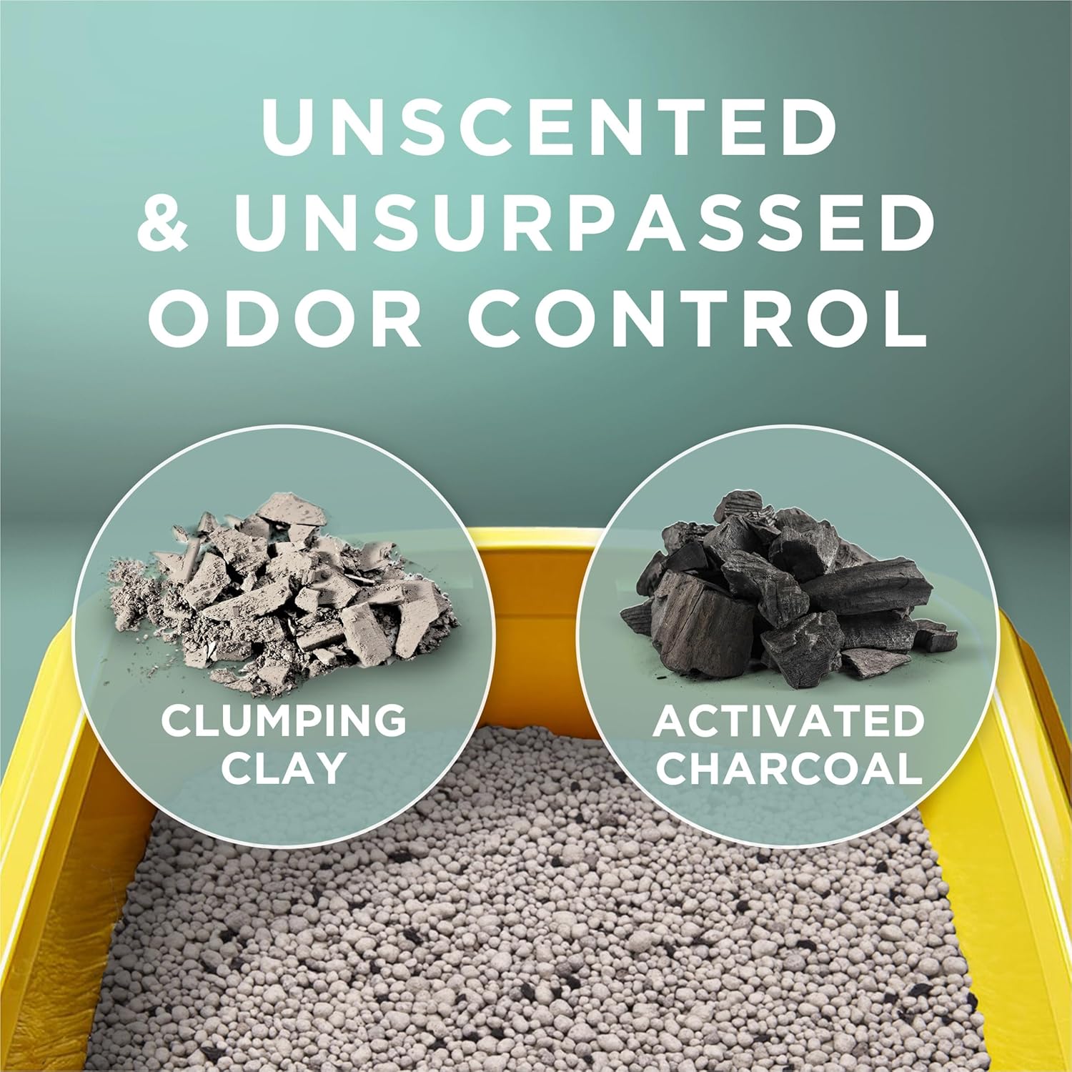 Purina Tidy Cats Free and Clean unscented clumping cat litter with odor control in a 38 lb box for easy litter box maintenance.