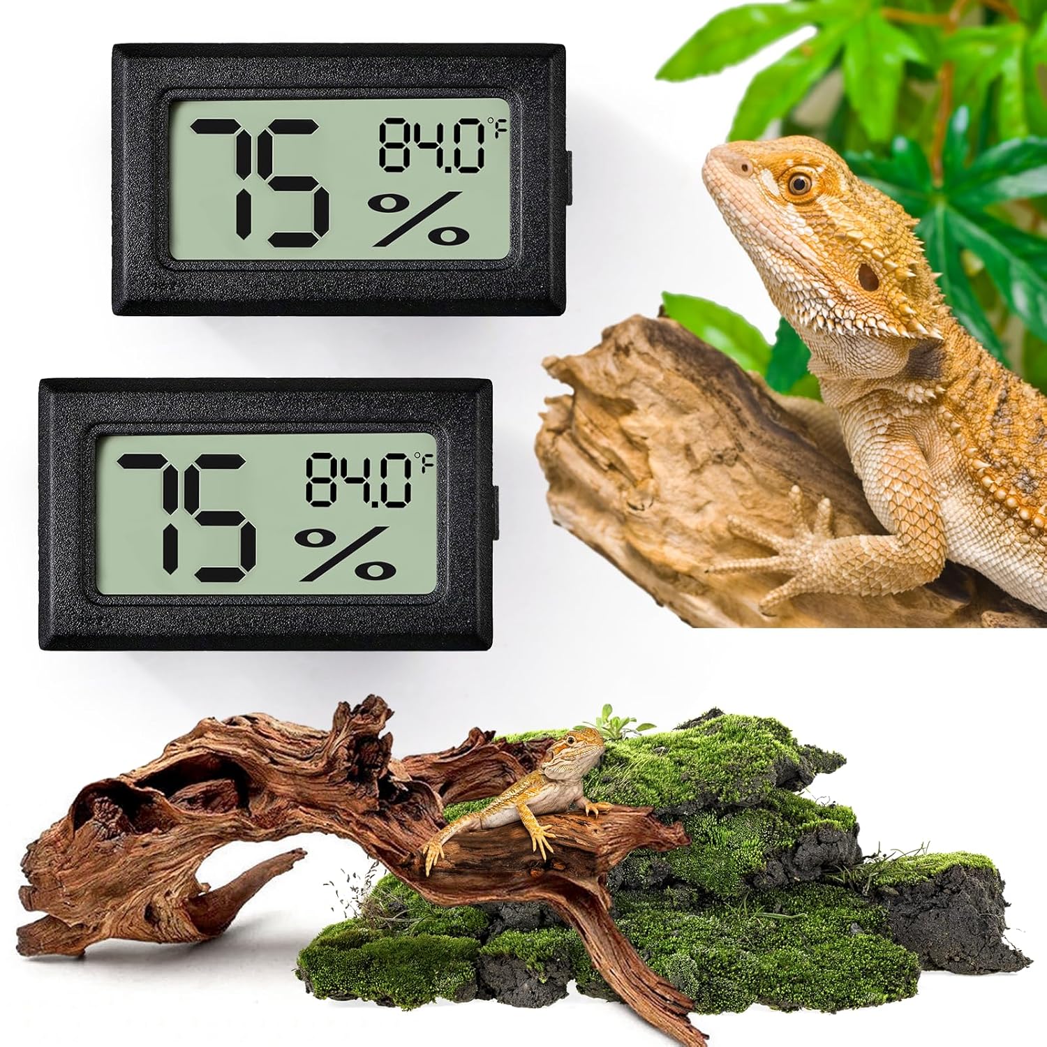 Digital reptile thermometer and humidity gauge 2PCS hygrometer for terrarium bearded dragon tank and reptile habitat monitoring