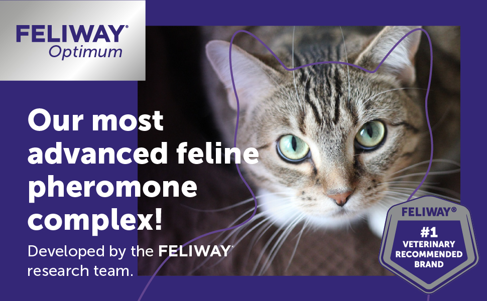 FELIWAY Optimum Cat Calming Diffuser Refill 3 pack providing 90 days of cat stress relief and behavior support for spraying, scratching, and anxiety.