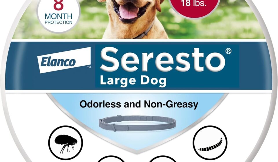 Seresto flea and tick collar for dogs over 18 pounds providing 8 month flea prevention and tick protection treatment.