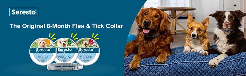 Seresto flea and tick collar for dogs over 18 pounds providing 8 month flea prevention and tick protection treatment.