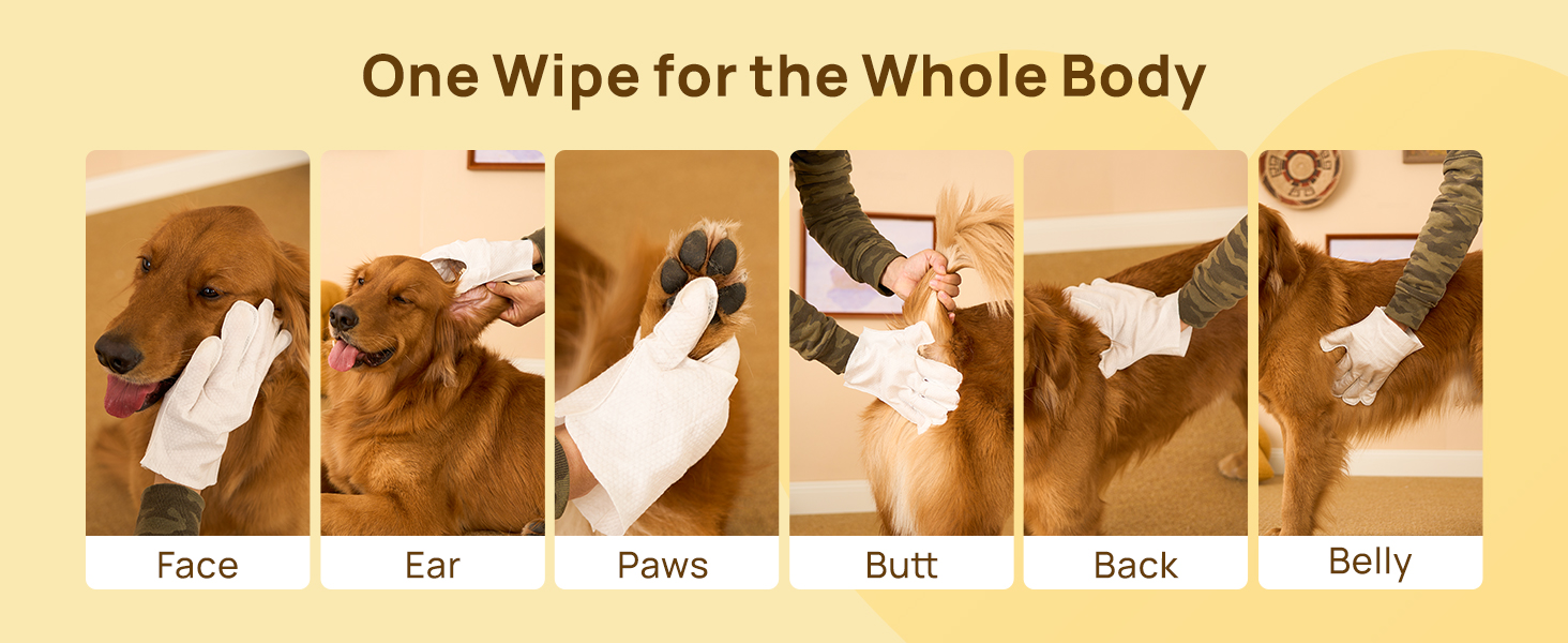 HICC PET cleaning and deodorizing glove wipes for dogs cats and horses with hypoallergenic no-rinse coconut scented formula