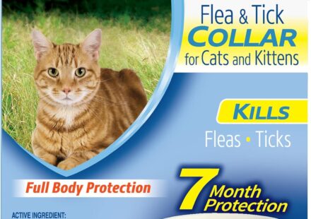 Hartz UltraGuard Flea and Tick Collar for cats and kittens offering 7 months of flea and tick protection with an adjustable white collar.