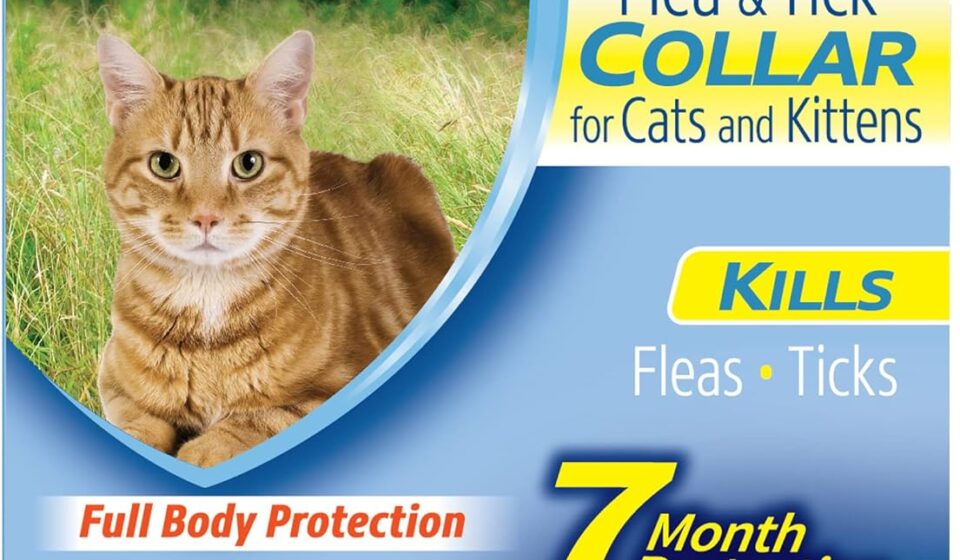 Hartz UltraGuard Flea and Tick Collar for cats and kittens offering 7 months of flea and tick protection with an adjustable white collar.