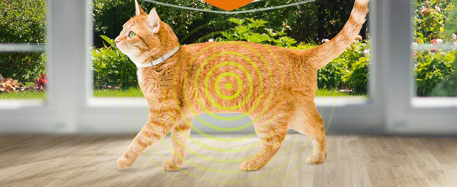 Hartz UltraGuard Flea and Tick Collar for cats and kittens offering 7 months of flea and tick protection with an adjustable white collar.
