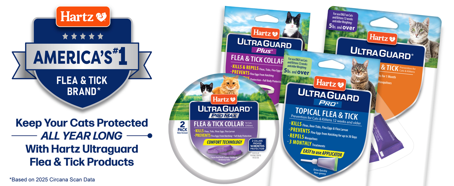 Hartz UltraGuard Flea and Tick Collar for cats and kittens offering 7 months of flea and tick protection with an adjustable white collar.
