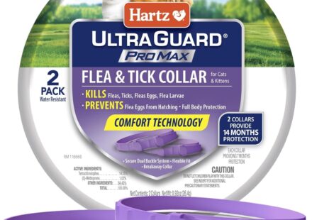 Hartz UltraGuard ProMax Flea and Tick Collar for cats and kittens with 14 months protection and soft adjustable design.