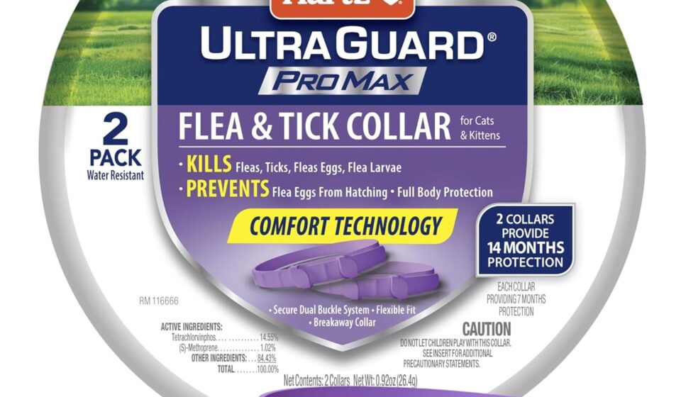 Hartz UltraGuard ProMax Flea and Tick Collar for cats and kittens with 14 months protection and soft adjustable design.