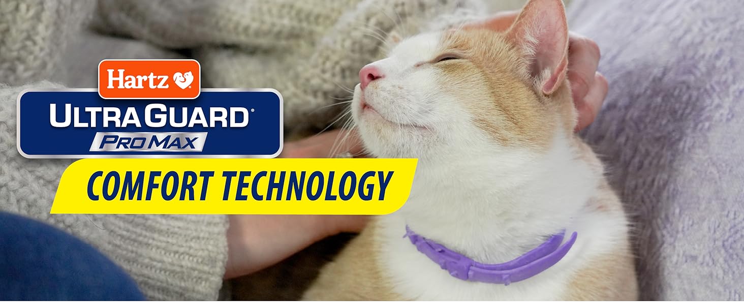 Hartz UltraGuard ProMax Flea and Tick Collar for cats and kittens with 14 months protection and soft adjustable design.