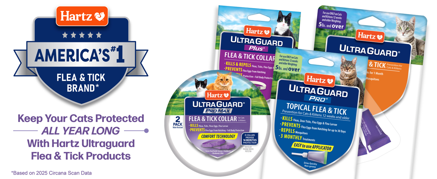 Hartz UltraGuard ProMax Flea and Tick Collar for cats and kittens with 14 months protection and soft adjustable design.