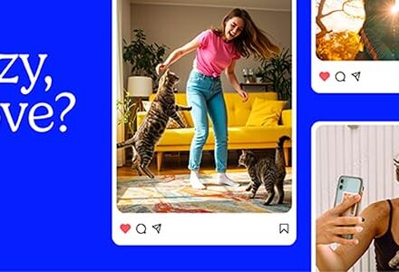 Fresh Step Advanced Odor Shield Multi-Cat Clumping Litter with Febreze Freshness and Ammonia Block Technology for powerful litter box odor control.