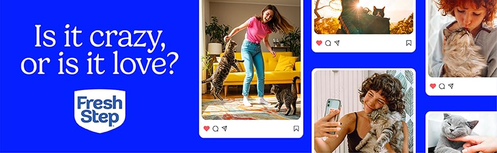 Fresh Step Advanced Odor Shield Multi-Cat Clumping Litter with Febreze Freshness and Ammonia Block Technology for powerful litter box odor control.