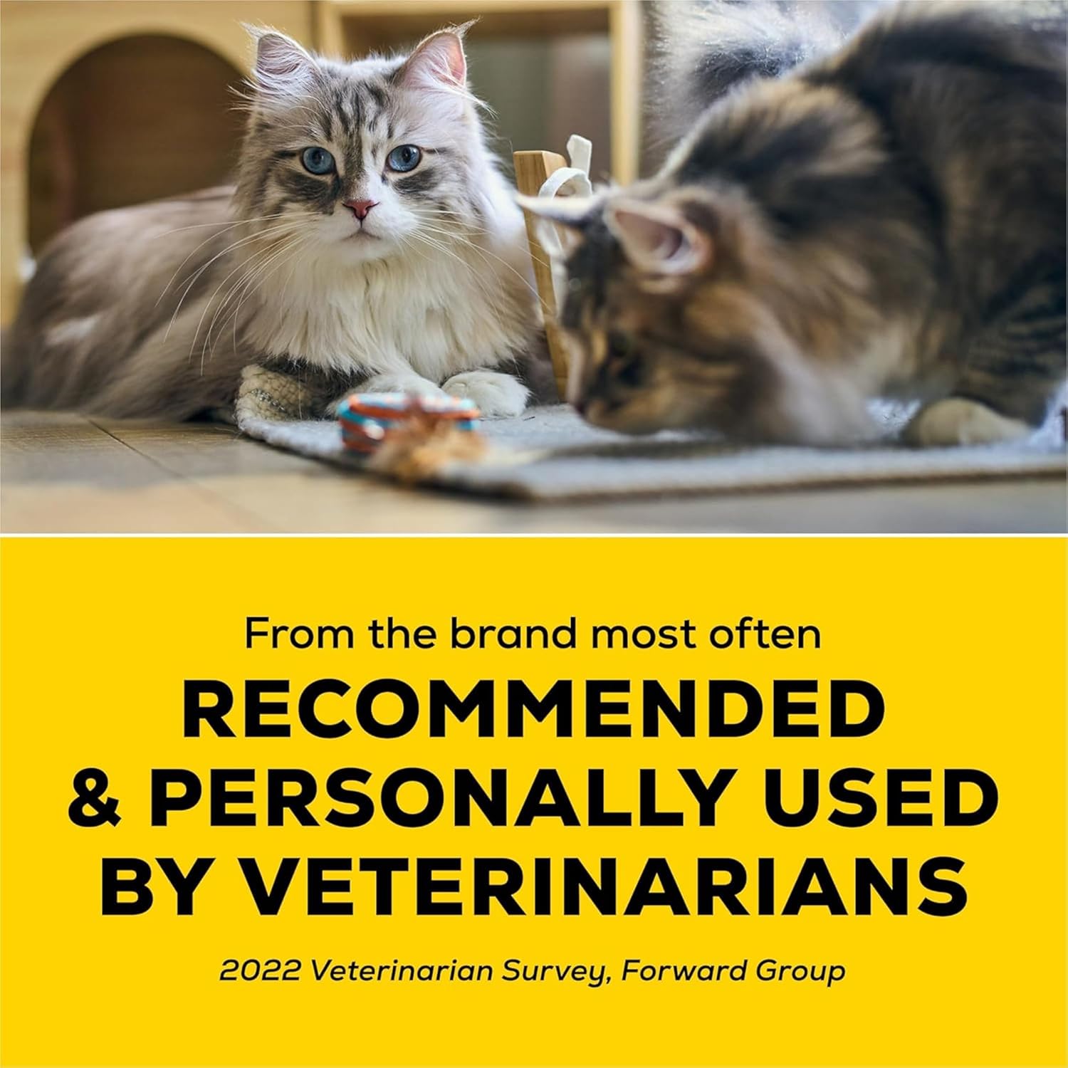 Purina Tidy Cats LightWeight 24/7 Performance multi-cat clumping cat litter with powerful odor control and 99.9% dust free formula.