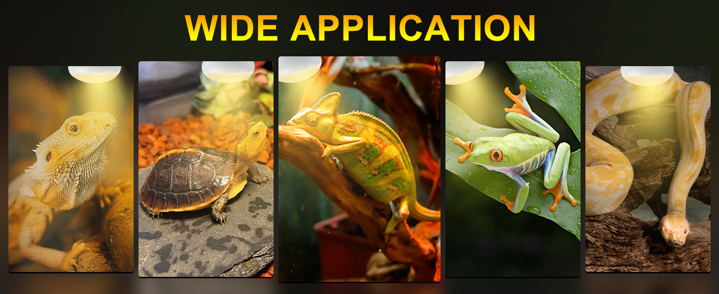 100W reptile heat lamp bulbs simulating natural sunlight for bearded dragon lizard turtle snake and terrarium basking habitat