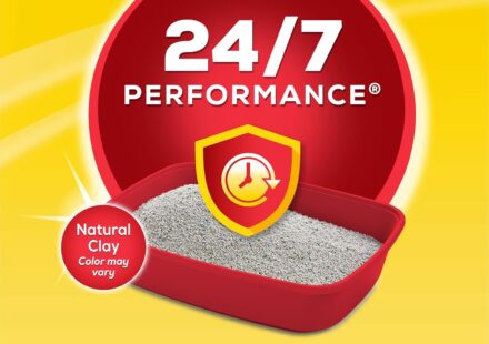 Purina Tidy Cats Clumping Cat Litter 24/7 Performance Multi-Cat Odor Control 16 lb bag beside a clean litter box.