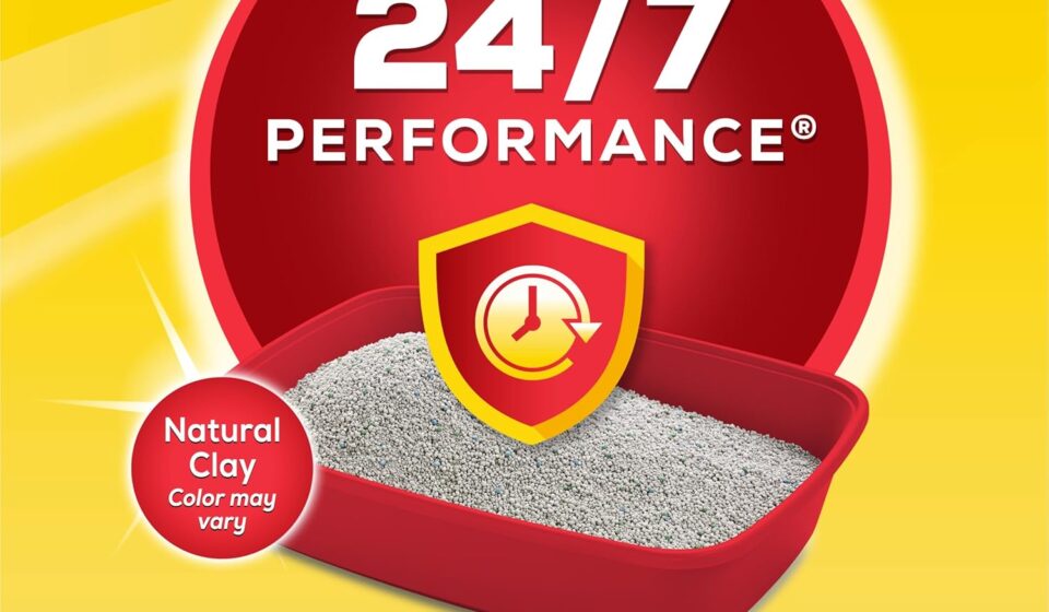 Purina Tidy Cats Clumping Cat Litter 24/7 Performance Multi-Cat Odor Control 16 lb bag beside a clean litter box.