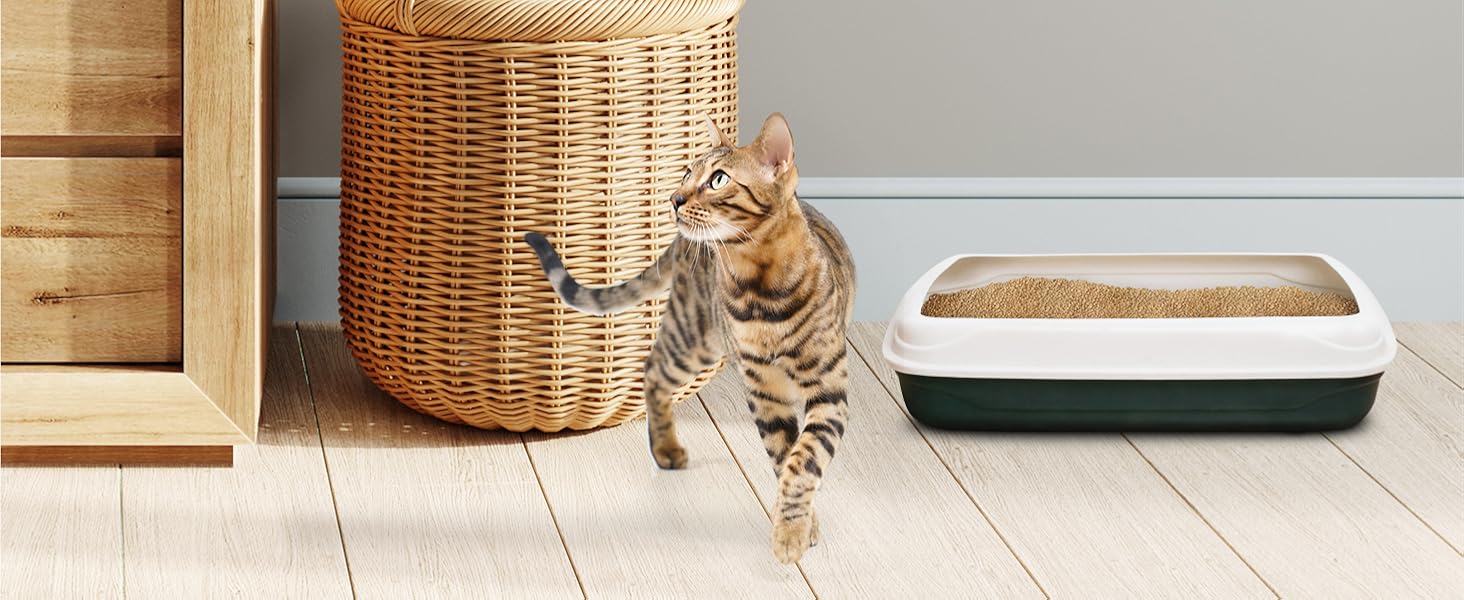 WORLD'S BEST CAT LITTER Multiple Cat Unscented 15 lb Natural Flushable Cat Litter with Quick Clumping and Long-Lasting Odor Control