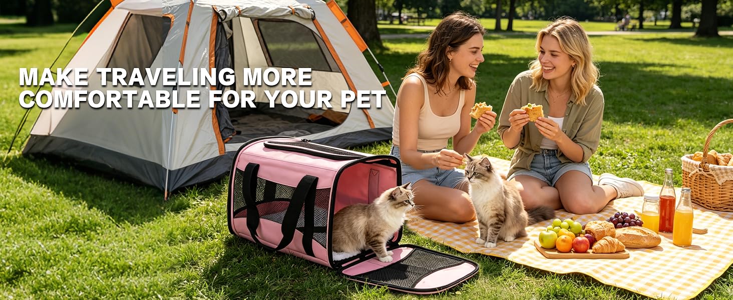 TSA airline approved soft-sided pet carrier for large cats and small dogs with breathable mesh collapsible travel bag 17 x 11 x 11 inches