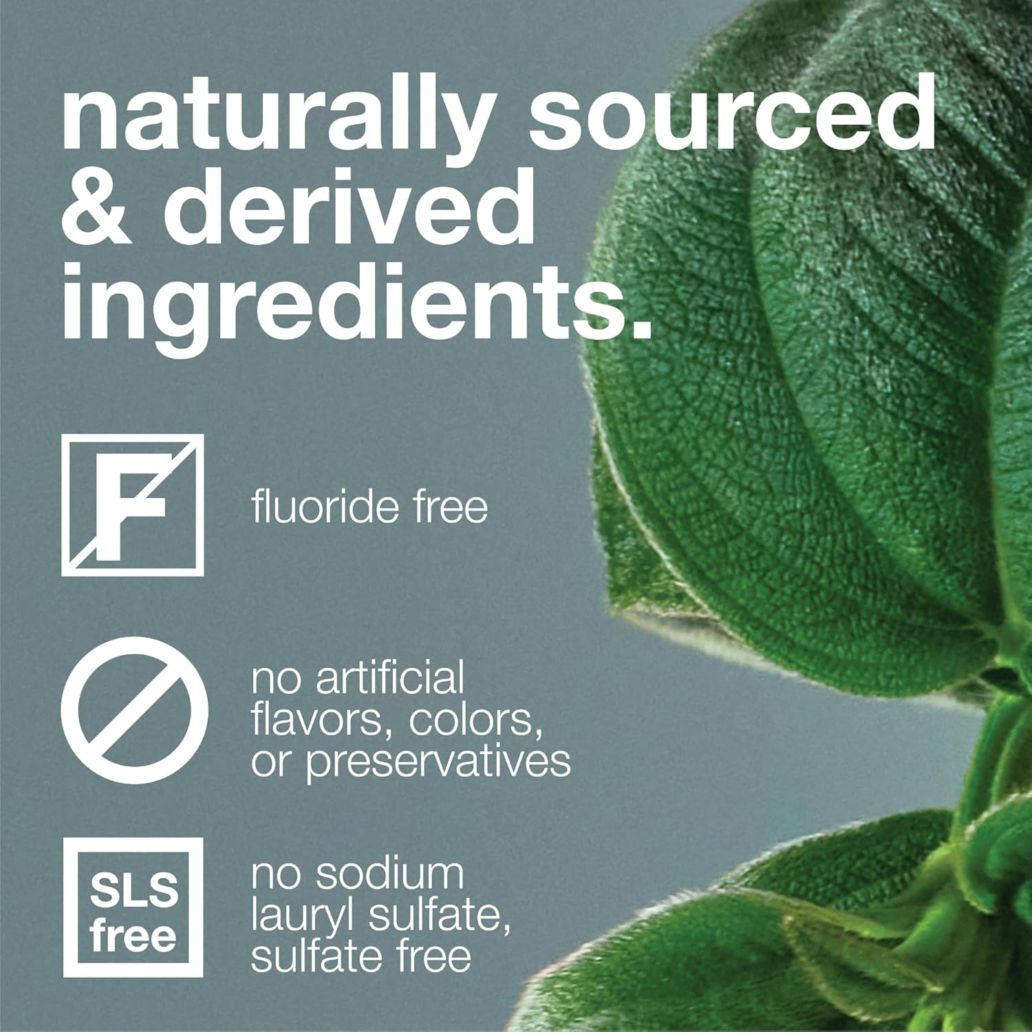 Davids Fluoride Free Toothpaste with peppermint flavor for teeth whitening antiplaque care enamel health and fresh breath
