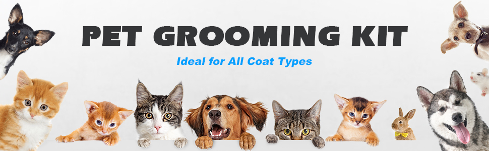 2PCS pet grooming tools with double-sided deshedding brush and mane tail comb for dogs, cats, and horses in blue
