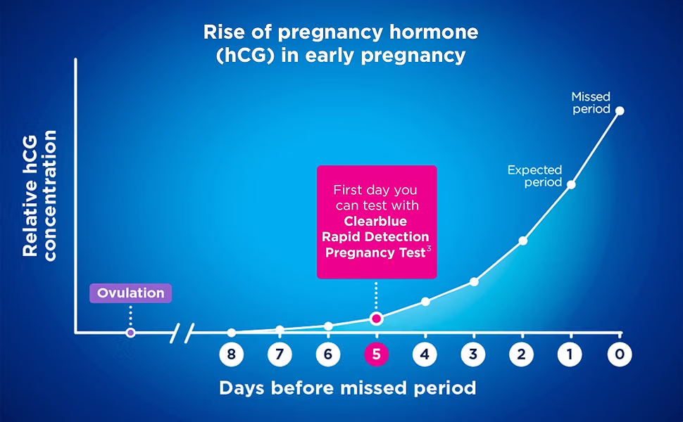 Clearblue Rapid Detection Pregnancy Test Home Pregnancy Kit 2 Count